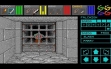 Логотип Roms DUNGEON MASTER (BETA) [ST]